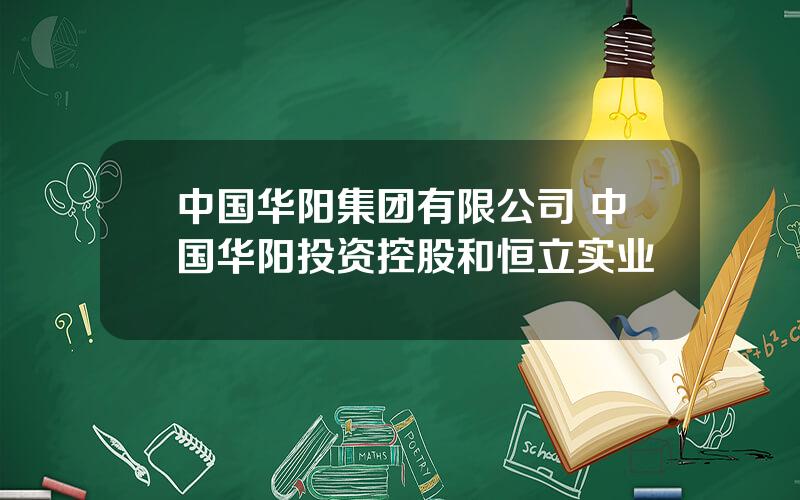 中国华阳集团有限公司 中国华阳投资控股和恒立实业